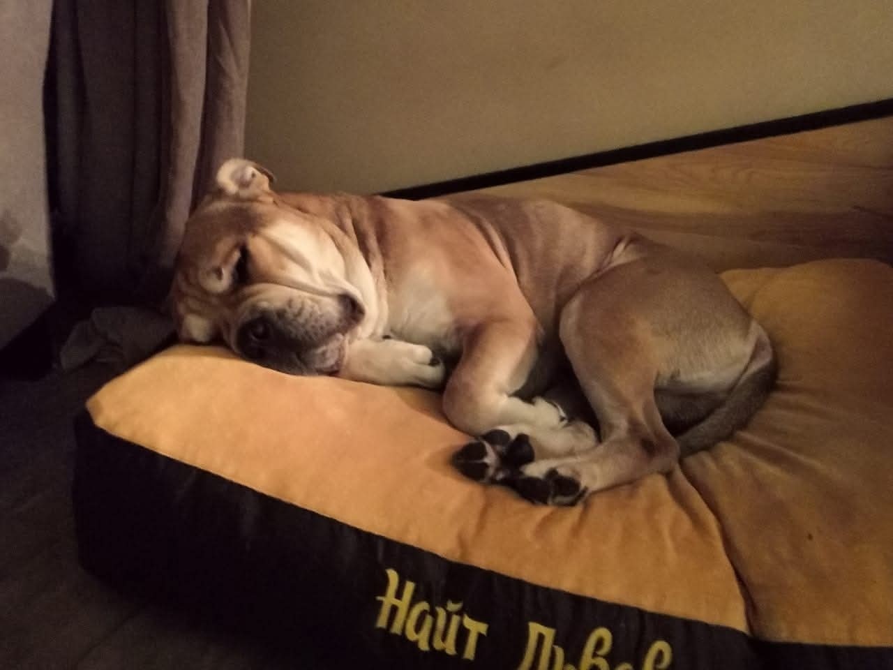 anbarinova в LOOKY — фото 2