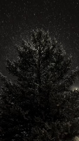 memoria.club в LOOKY. . Порой любую ситуацию...