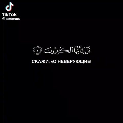Полярный Зайчик в LOOKY — Коран