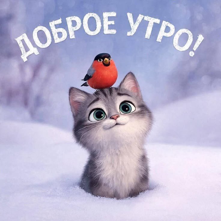 Looky_Macsen в LOOKY — [#утро ](утро)[#утродоброе ](утродоброе)[#доброеутро ](добро