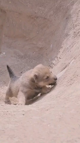 Оксана in LOOKY. . Будем добрее 💫✊