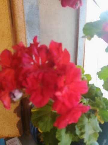 Looky_177184370998358 в LOOKY. . 