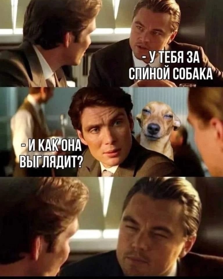 Немного смеха вам в ленту 🤣

Смеюсь с самого раннего утра 🤣🤣🤣🤣