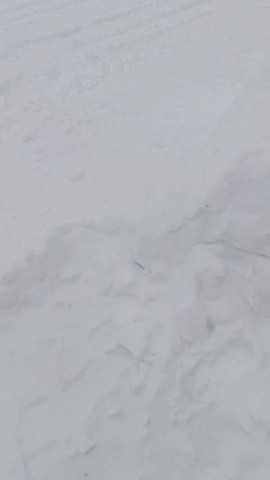 Виктория в LOOKY. . Сейчас у нас метель ...