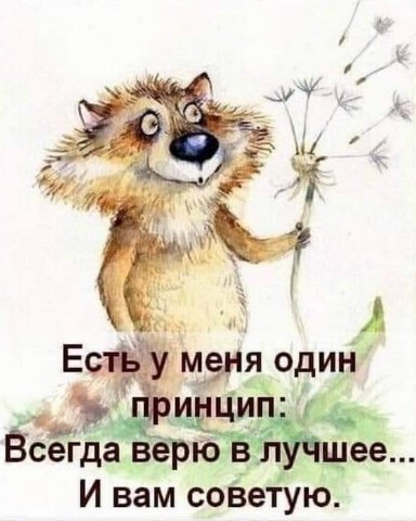 Looky_1695925200957 в LOOKY. . [#жизньпрекрасна](жи...