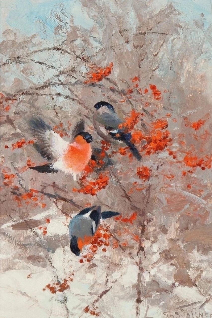 Александр в LOOKY — Художник Thure Wallner (1888–1965)