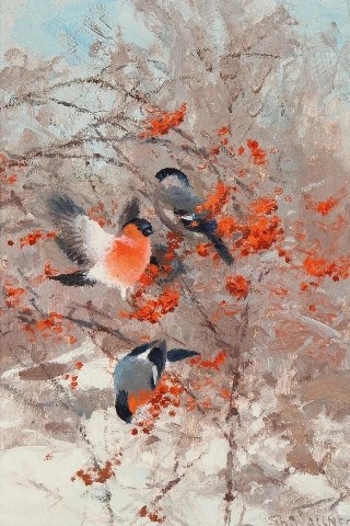 Александр в LOOKY. . Художник Thure Walln...