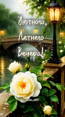 Медицинская студия ФЕНИКС в LOOKY — публикация