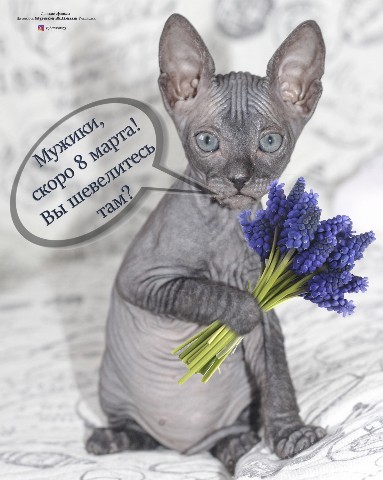 Looky_1695576157201 в LOOKY. #8марта. Скоро #8марта и надо...