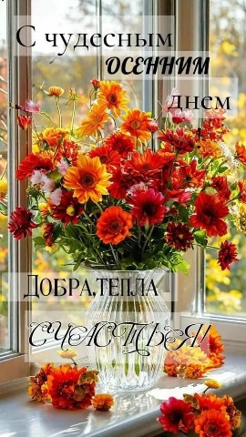 Looky_177376094385359 в LOOKY. . 