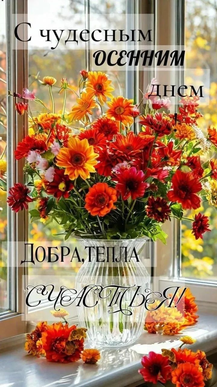 Оля в LOOKY — публикация