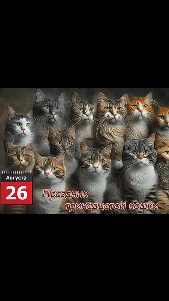 pserge61 в LOOKY. #БлоггерЛёваиК,#ПраздникТринадцатойКошкиВПрайде,#рыжийкот,#ориентал,#сфинкс,#чёрныйкот,#норвежскийлеснойкот,#русскоевропейскаялайка,#котики,#мыизкотограма,#RedCat,#Oriental,#Sphinx,#NorwegianForestCat,#Laika. <<ПРАЗДНИК ТРИНАДЦАТ...
