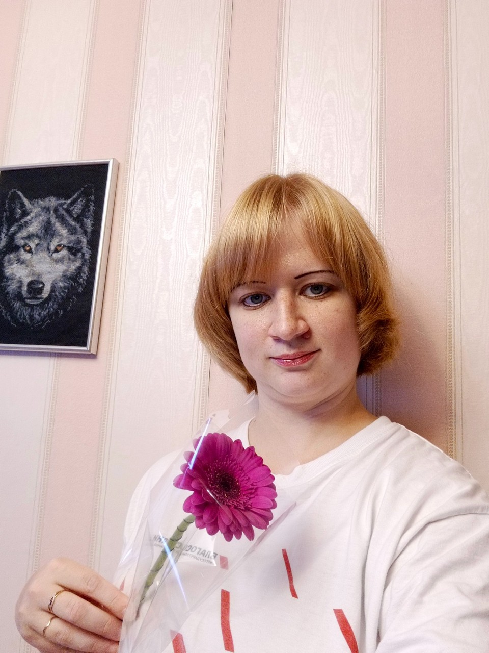 Ольга в LOOKY — Люблю герберы

[#герберы ](герберы)[#цветы ](цветы)