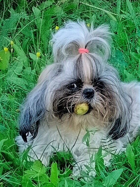 Vladova Tatiana in LOOKY