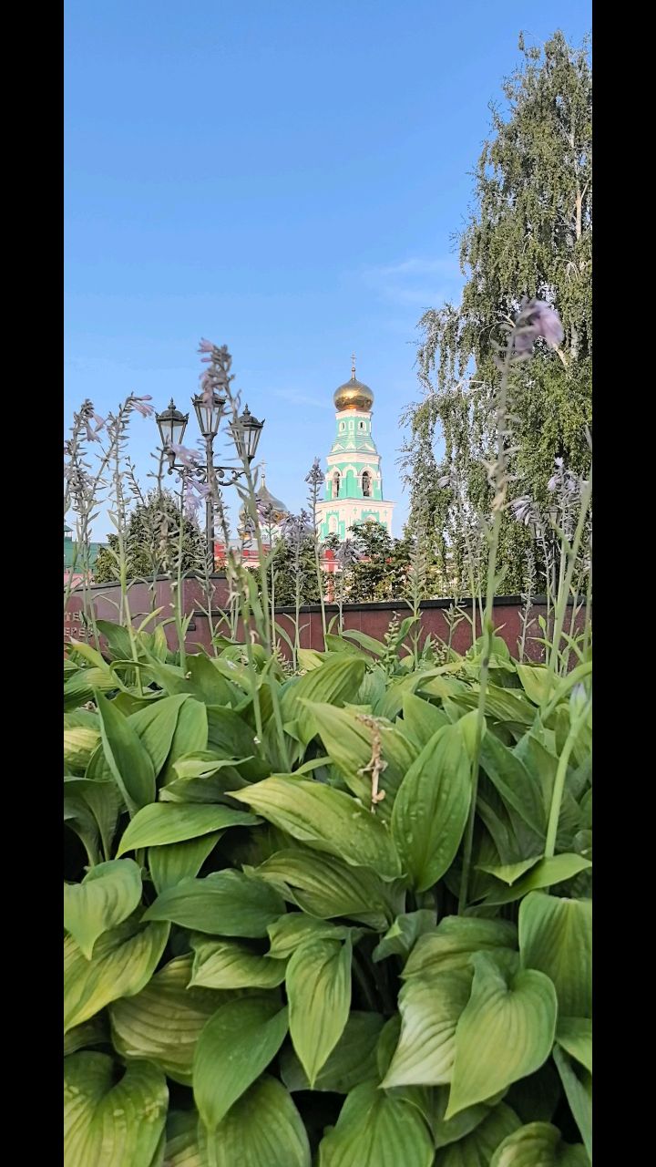 Амбассадор автостопа в LOOKY. . Добрый день, любимая...