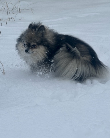 Looky_1712977567678 в LOOKY. . Это я на столько быс...