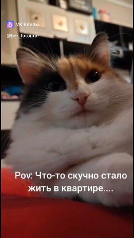 art_matusevich в LOOKY. #строимсами. Многие спрашивали по...