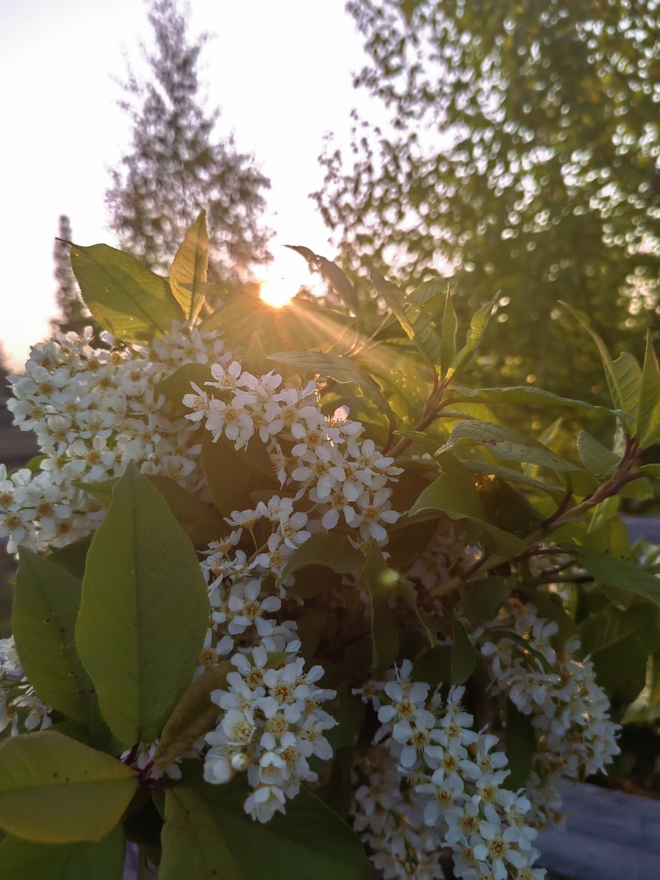 Еще немного и будет пахнуть тобой... Я так скучала #найди_желтый