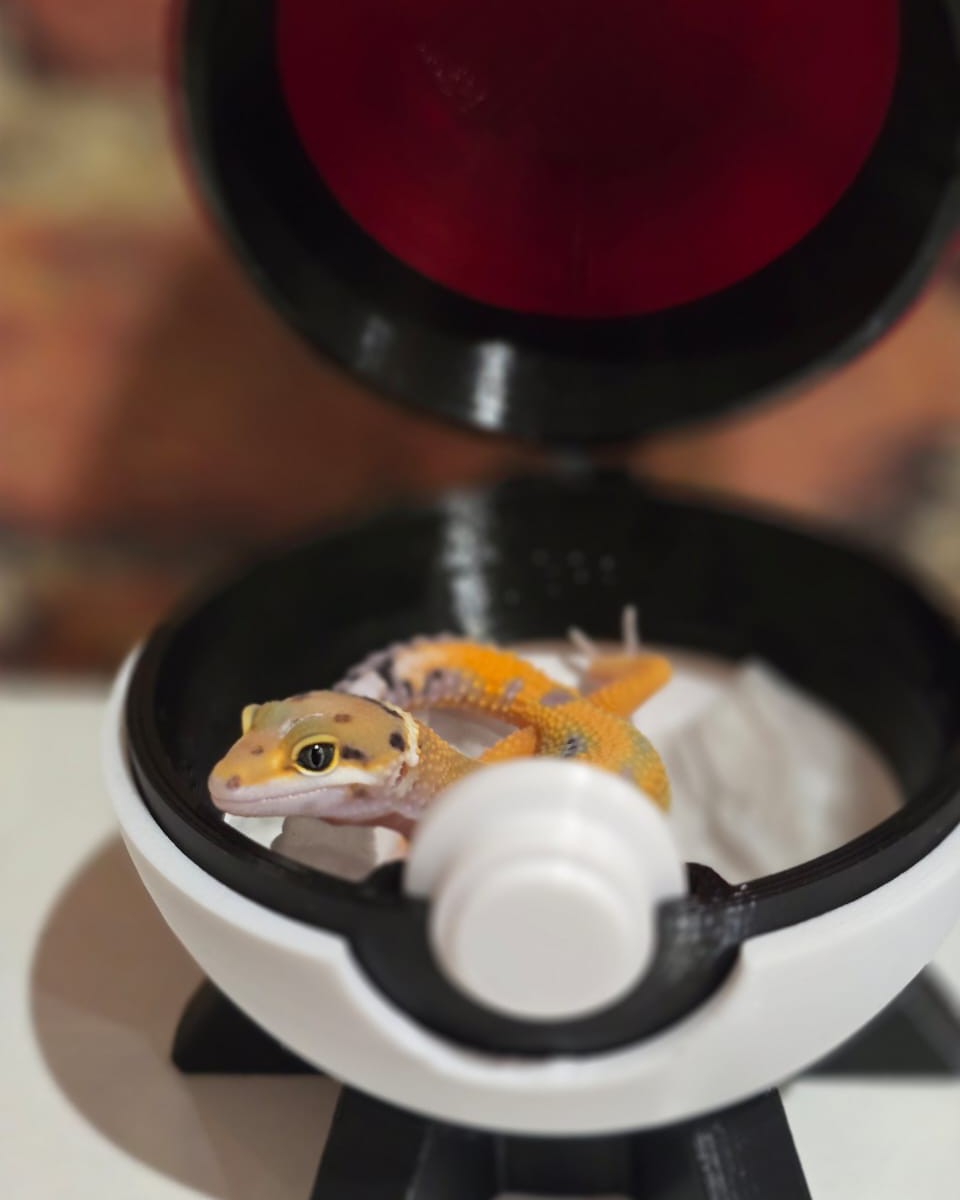 smekhovcreation в LOOKY — фото 7