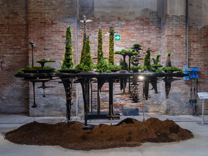 HUU TRUONG FELDU 🇻🇳🌹 [#huutruongfeldu ](huutruongfeldu)
