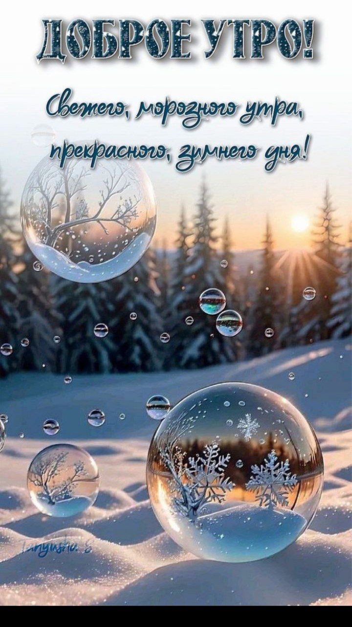 sergio_luga в LOOKY — публикация