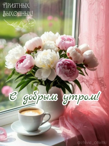zhivie_otkritki_natali в LOOKY. #доброеутро,#времяпитькофе,#уют,#безсуеты,#милыйдом,#пионы. 🤗 Суббота... Хороше...