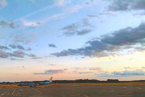 a_skorobogatov81 в LOOKY. . 