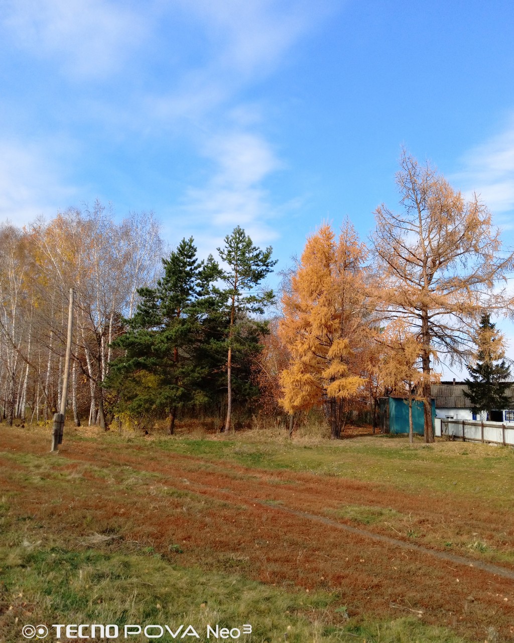 Поздняя осень. 🍁
#осень_looky