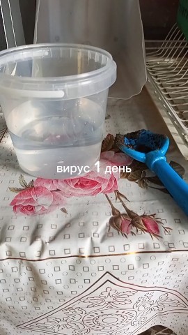 Gena в LOOKY — Что добавить следующит