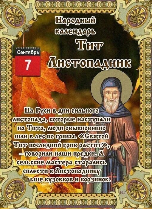 Народный календарь
В народном календаре 7 сентября — день Тита Листопадника (или Тита Грибника). Название связано с тем, что к этой дате начинался активный листопад и заканчивался сезон сбора грибов: «Святой Тит последний гриб растит» .

🌿 Традиции дня

· Главное дело: ходили в лес за грибами, которые в этот день считались особенно сильными. Из них готовили жаркое, пироги и супы, а также делали заготовки на зиму .
· Обряды: умывались водой, настоянной на серебре, или парились в бане — для здоровья и бодрости на весь год . Также загадывали желания утром на восходе или нашептывали их чайному грибу .

⛔ Что нельзя делать

· Лениться: безделье в этот день — плохая примета .
· Начинать стройку или ремонт: считалось, что всё придется переделывать .
· Звенеть монетами и пересчитывать деньги: чтобы не лишиться сбережений .
· Брать детей в лес: по поверьям, их мог увести леший .
· Вредить грибам (даже мухоморам): пинать, давить или сбивать их палкой — к ссорам и бедам .
· Ссориться и ругаться: конфликт мог затянуться надолго .

🌦️ Народные приметы погоды

По этому дню предсказывали погоду на осень и зиму:

· Много грибов — к долгой и холодной зиме .
· Сильный листопад — к ранним заморозкам и суровой зиме .
· Утренний дождь — скоро прояснится; дождь после обеда — к затяжному ненастью .
· Птицы на крышах — к ненастной осени .

💐В этот день именины у Владимира, Ивана, Моисея и Тита .