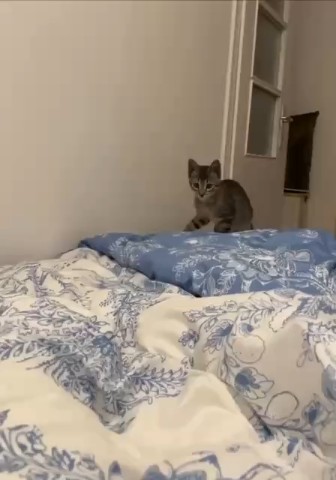 Вячеслав Кузнецов в LOOKY — Хорошего дня