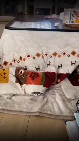  в LOOKY — Доброе утро всем!!! 🫶🫶🫶
Хорошего денёчка отличного настро