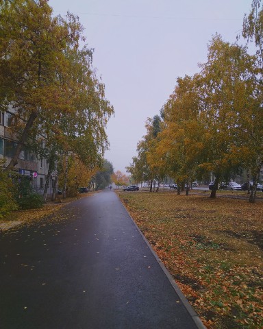 Рустам в LOOKY. . Осень 🍁
