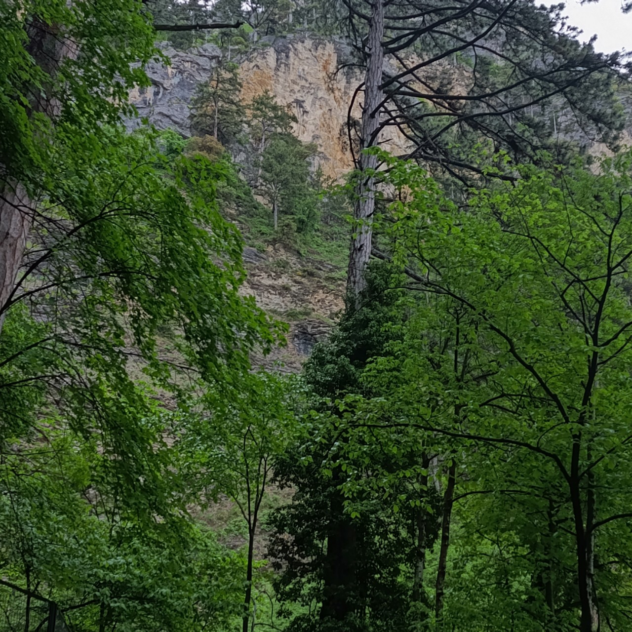 Красоты Крыма. в LOOKY — фото 1