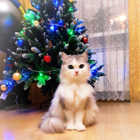 OlegFromStr в LOOKY. . 