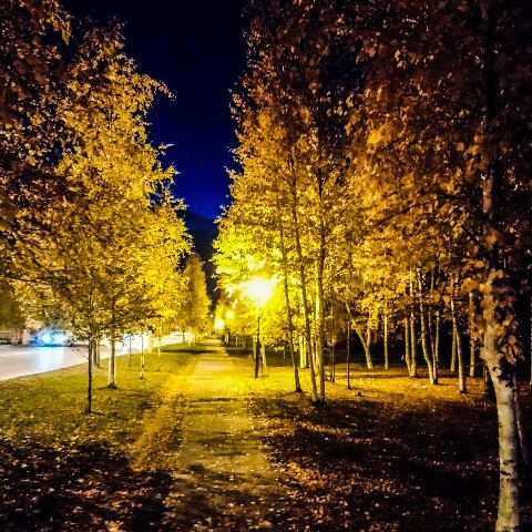 Simonov в LOOKY. . Лангепас. 2019 г.
[#...