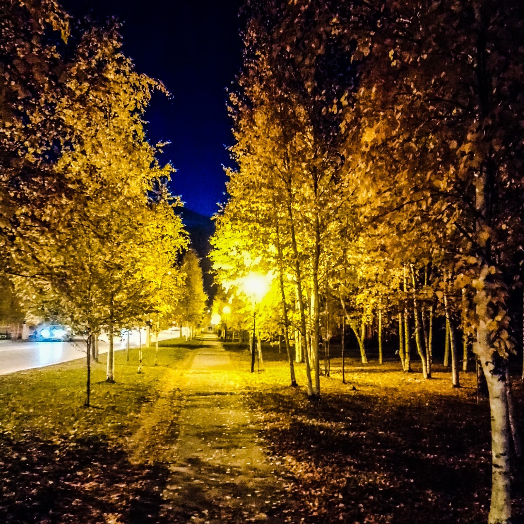 Лангепас. 2019 г.
[#лангепас](лангепас) [#хмао](хмао) [#север](север) [#осень](осень) [#городскойпезаж](городскойпезаж) [#вечер](вечер) [#путешествия](путешествия) [#urbanphotography](urbanphotography) [#streetphotography](streetphotography) [#artphotography](artphotography) 