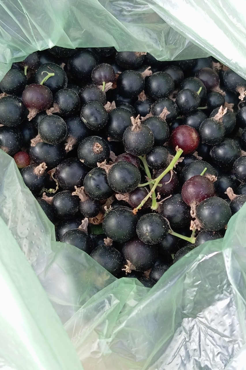 Продуктивная у нас сегодня прогулка😄🥰