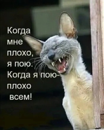 SunSun в LOOKY — публикация