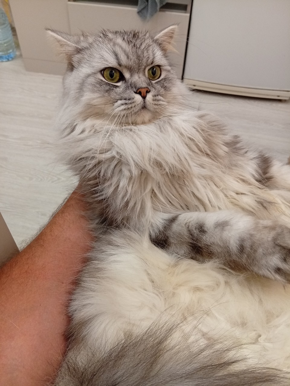 darenka_little в LOOKY. . 10 дней не тискал па...