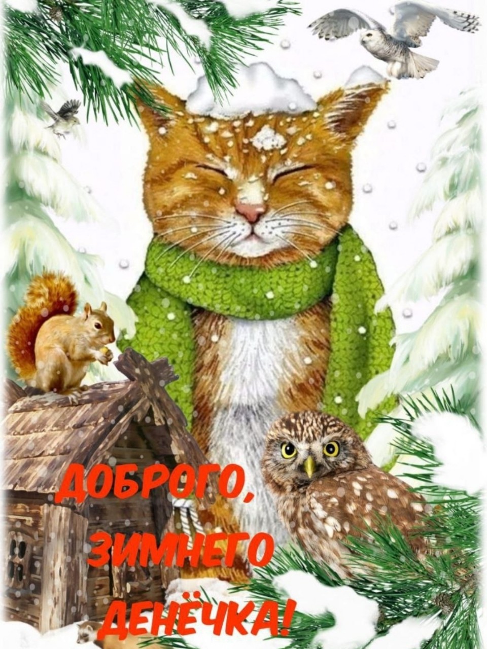 Tamara_looky в LOOKY — публикация