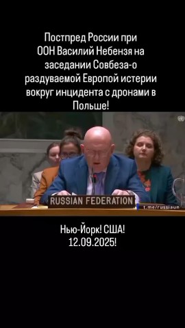 Looky_1721217575188 в LOOKY. . Постпред России при ...