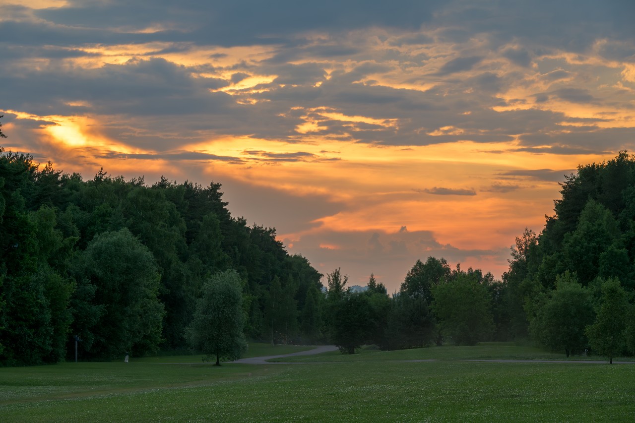 poboruev_landscape в LOOKY. #природа,#закат,#рассвет,#утро,#вечер,#небо,#облака,#парк,#лес,#зелень,#лето,#память,#Россия,#мещерский,#фотоприроды,#природноефото,#простор. Сегодня День Памяти ...