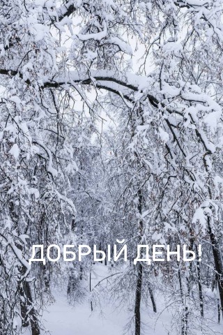 Looky_1670341578322 в LOOKY. . 