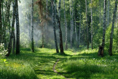 Looky_174793009122232 в LOOKY. . 