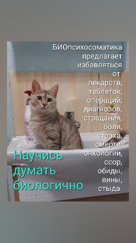 Looky_1695376473115 в LOOKY. #биомышление. #биомышление [#БИОпс...