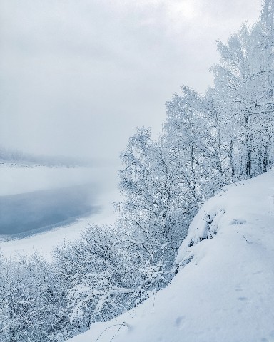 Olga в LOOKY. #река,#frostymorning. [#морозноеутро](моро...