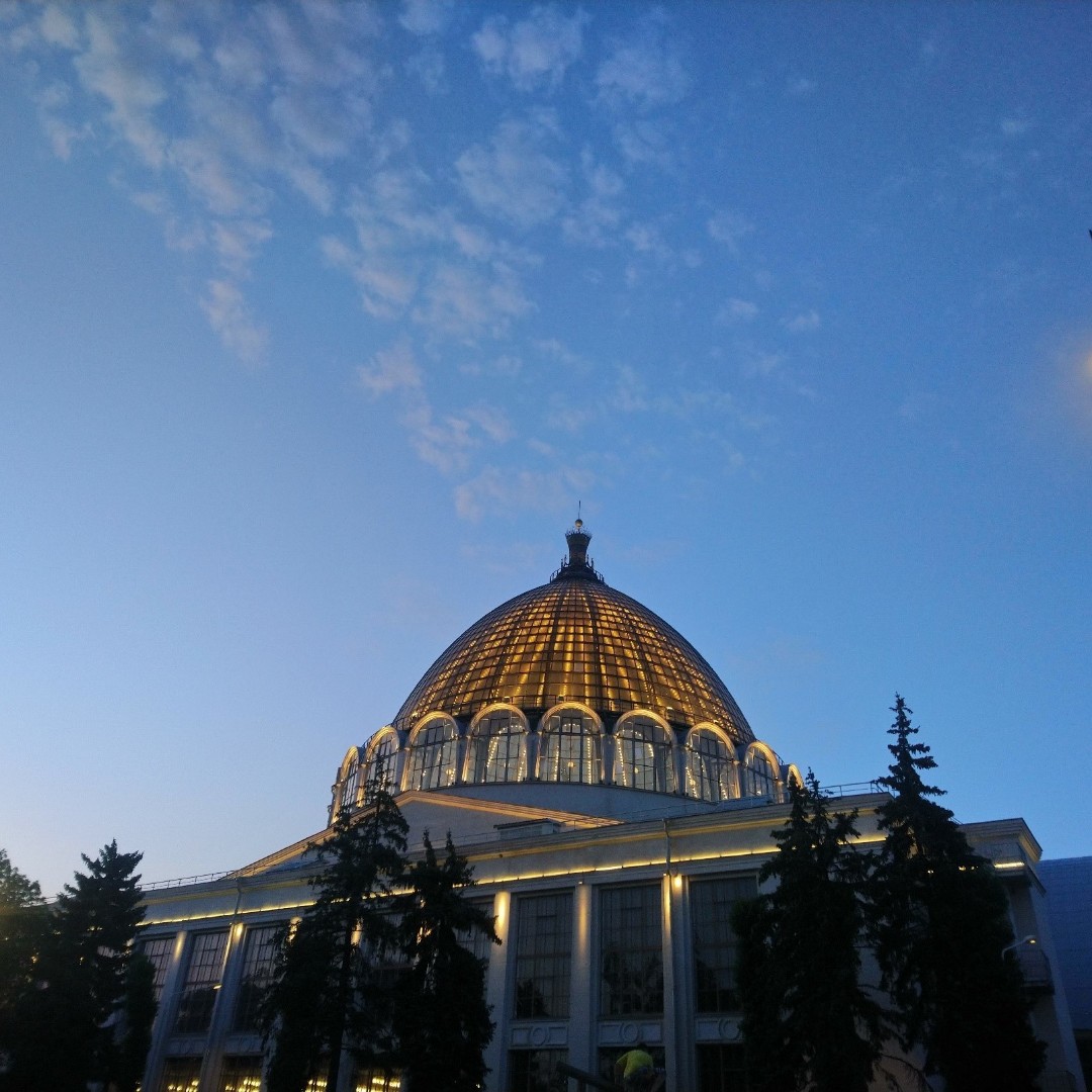 Просто "Космос"

#москва #стопрогулокпомоскве #вднх #космос #кудапойти