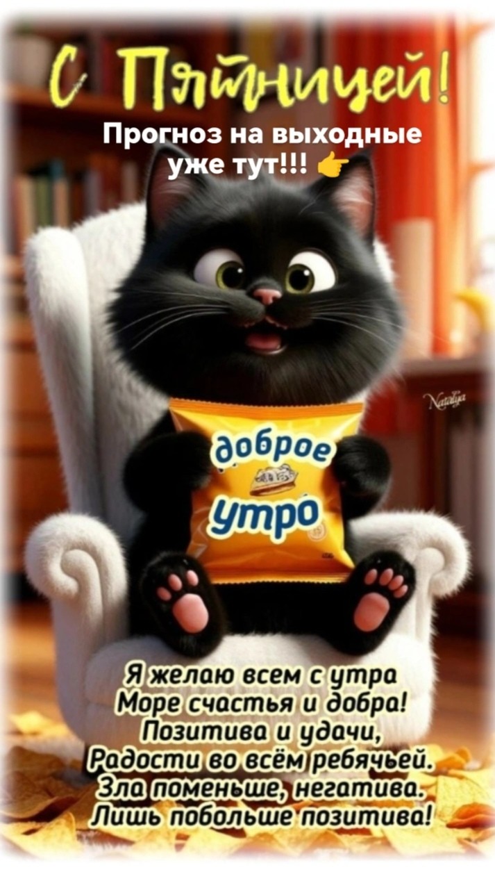 Таролог  Рена Эльф в LOOKY — #аыходные#утро#кофе#любовь