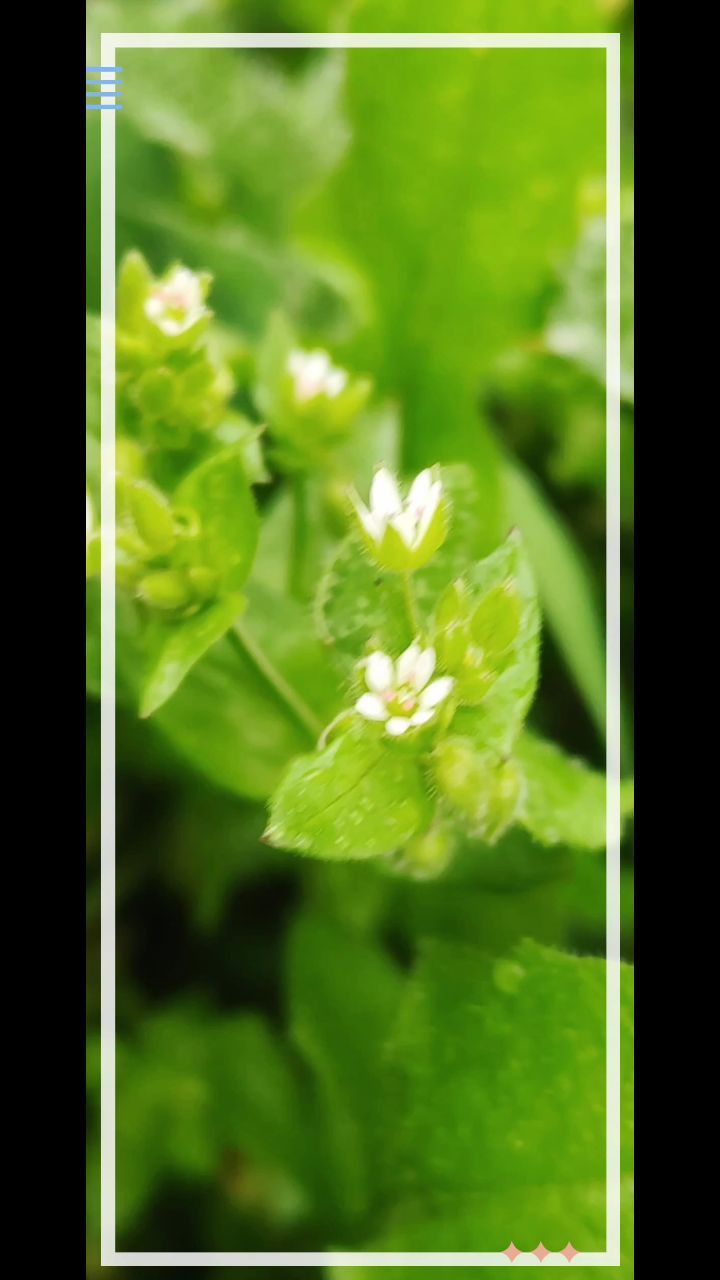 xah_6atoh в LOOKY. #Евпатория,#Крым
,#ХАНБАТОН,#XAH6ATOH,#Весна. Вот такой день, 31 м...